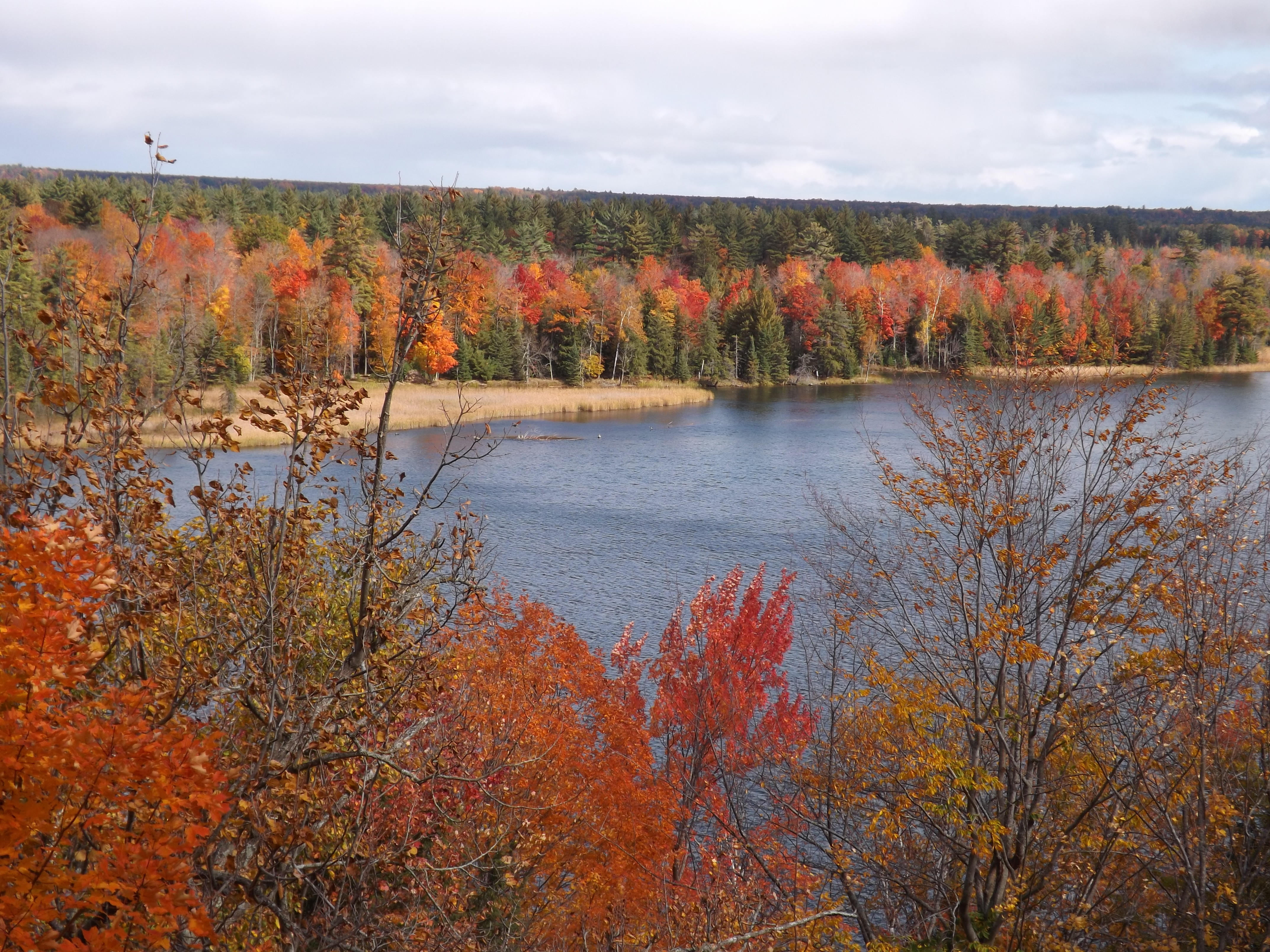 Au Sauble River in the fall